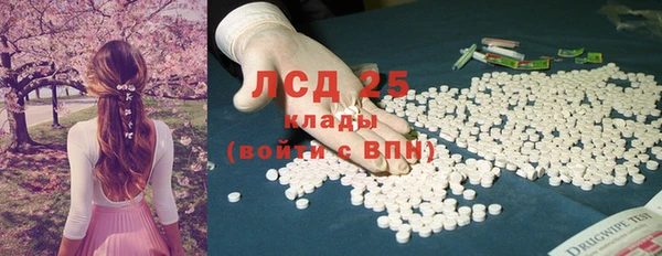 ПСИЛОЦИБИНОВЫЕ ГРИБЫ Белоозёрский