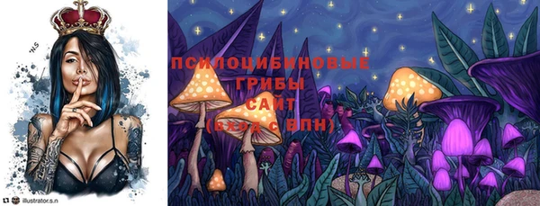 ПСИЛОЦИБИНОВЫЕ ГРИБЫ Белоозёрский