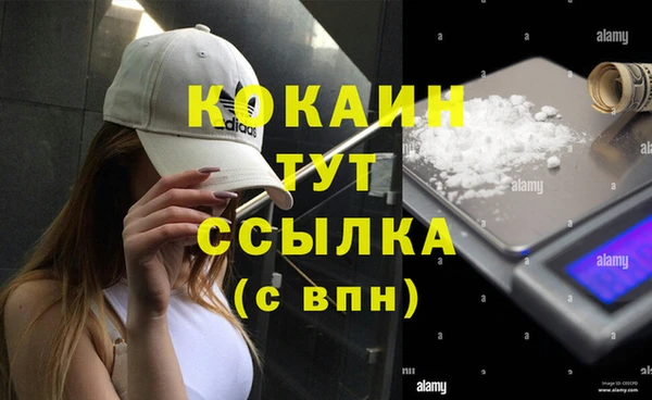 марки lsd Белокуриха