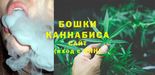 марки lsd Белокуриха