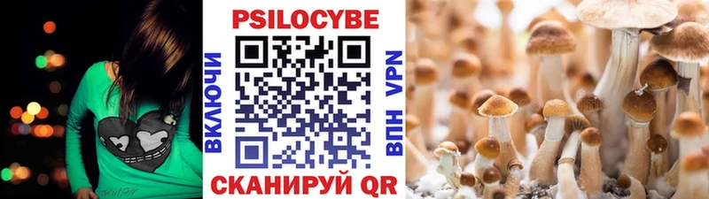 Галлюциногенные грибы прущие грибы  Купить  Валуйки 