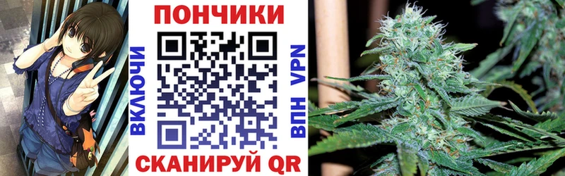 Купить закладки  Валуйки  Канабис марихуана 